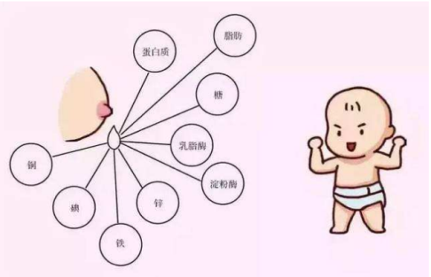 母乳喂養的十大(dà)好處